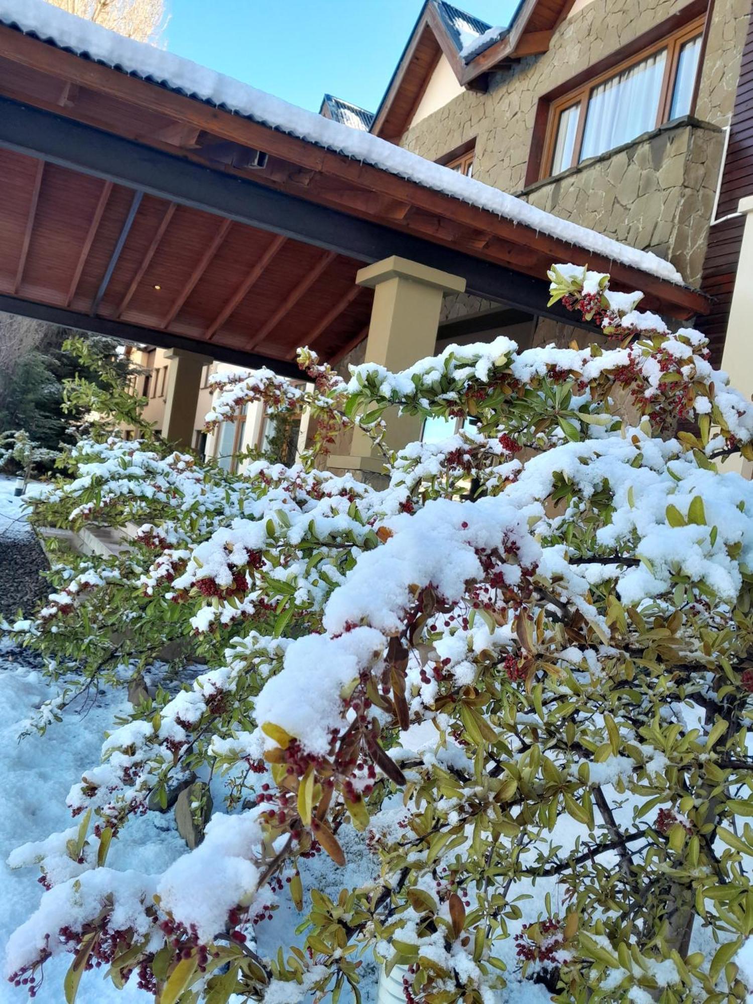 ホテル Rochester Calafate エル・カラファテ エクステリア 写真